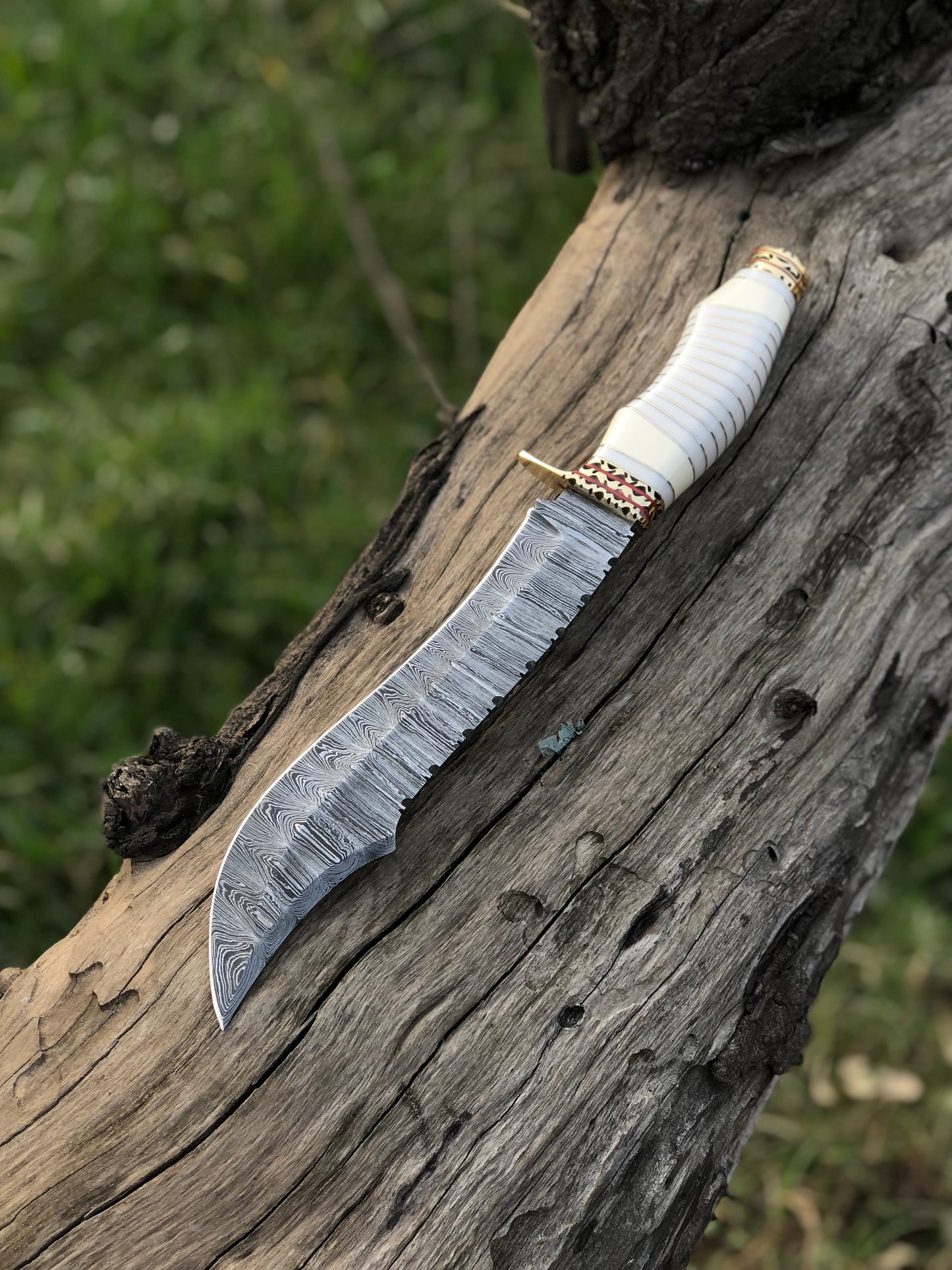 Handmade Damascus Steel Blade Bowie Knife Decorated Camel Bone Handle