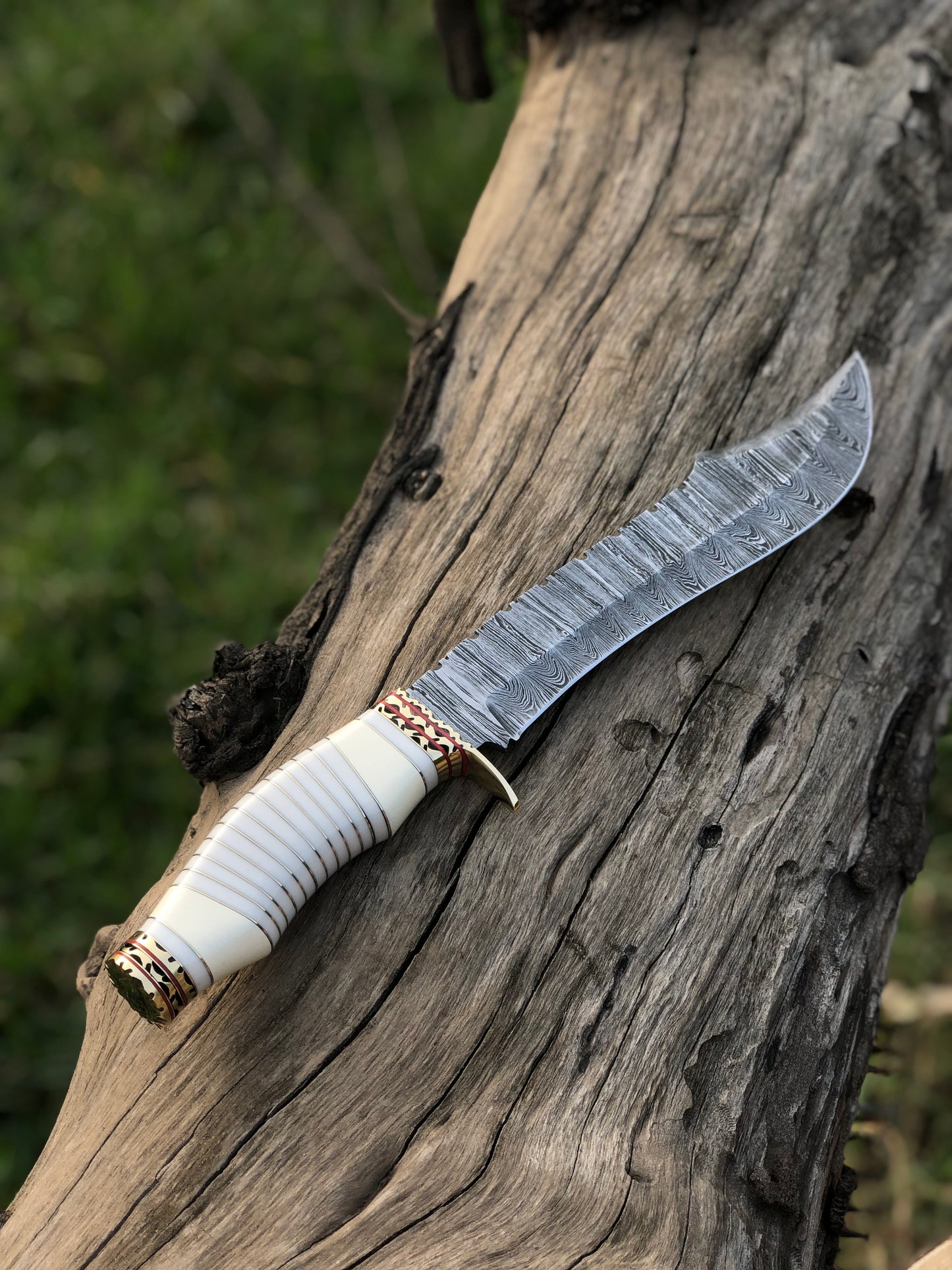 Handmade Damascus Steel Blade Bowie Knife Decorated Camel Bone Handle