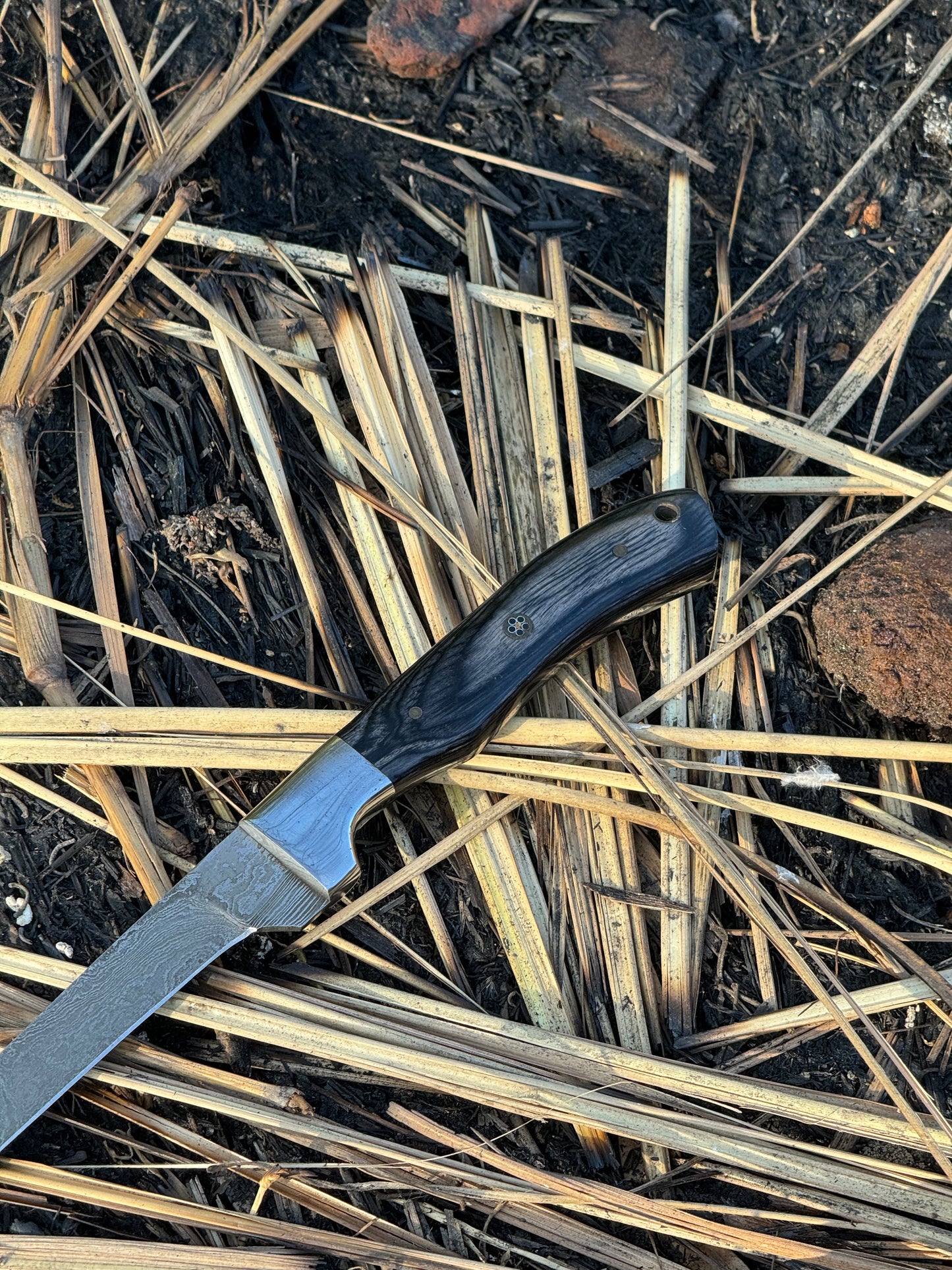 Elegant 13" Damascus Fishing Fillet Knife with Pakkawood Handle, Steel Bolster, and Protective Leather Sheath