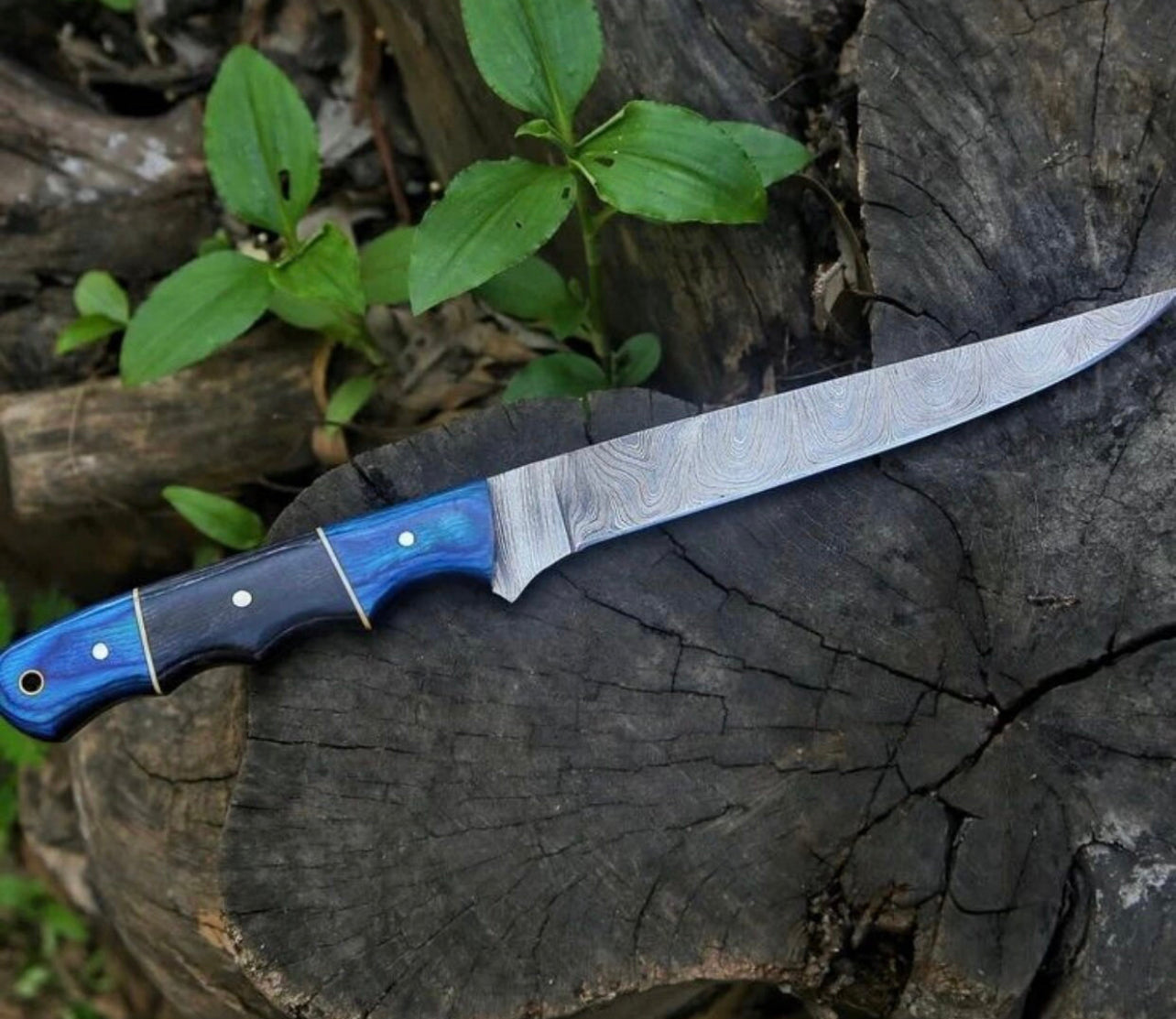 Fishing fillet knives