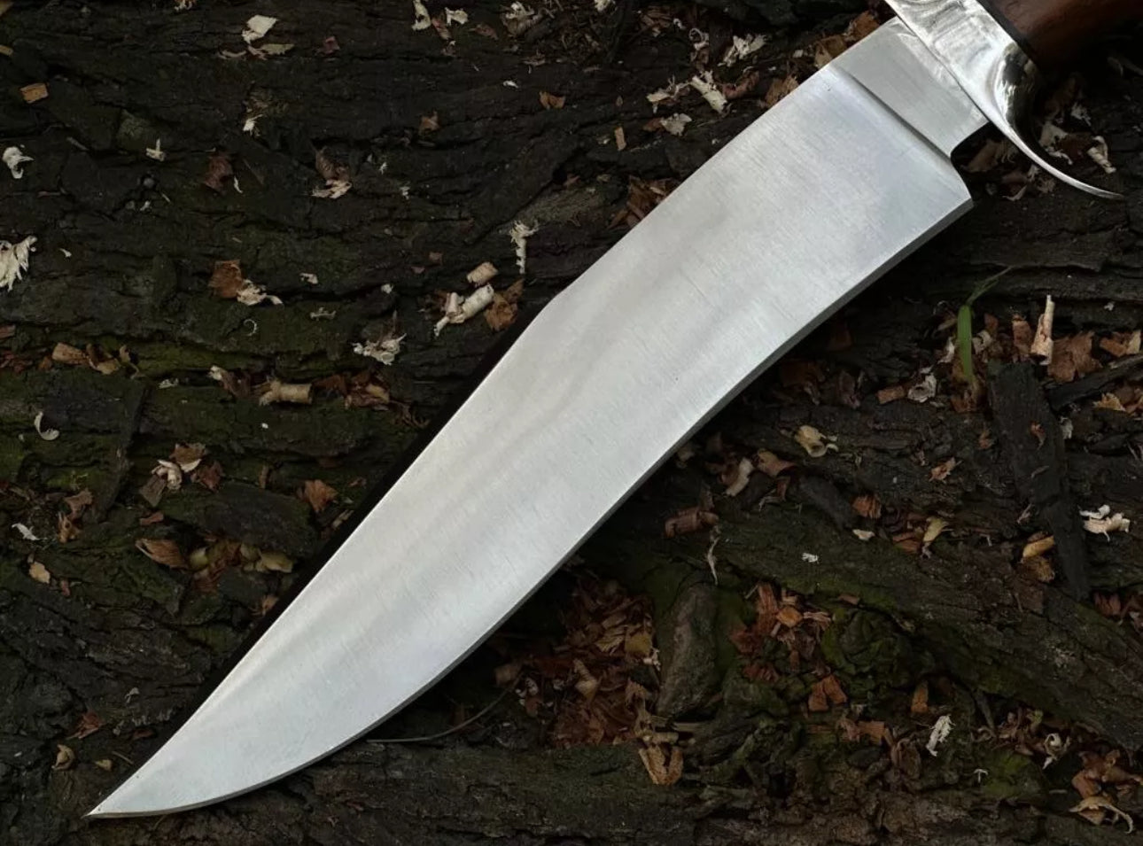 Custom Handmade J2 Steel Bowie Knife with Steel Guard and Rosewood Handle, Includes Leather Sheath”