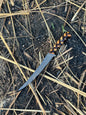 Custom Handmade Damascus Steel Fishing Fillet Knife - 13" Blade with Rosewood and Olive Wood Handle, Steel Bolster, Leather Sheath