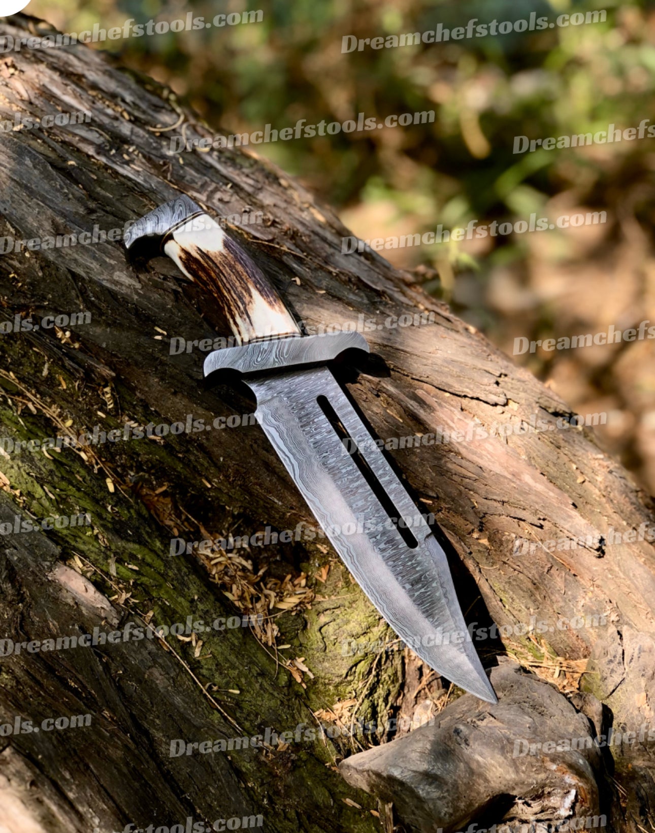 Damascus Steel Bowie Knife - Full tang design with stag antler handle and Damascus steel guard