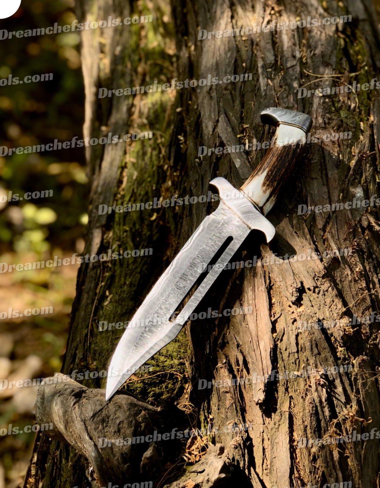Premium Full Tang Bowie Knife with Damascus Steel Blade & Rosewood Handle main image 1