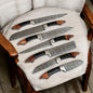 "Professional Chef Kitchen Knife Set with Damascus Steel Blades and Leather Case"

