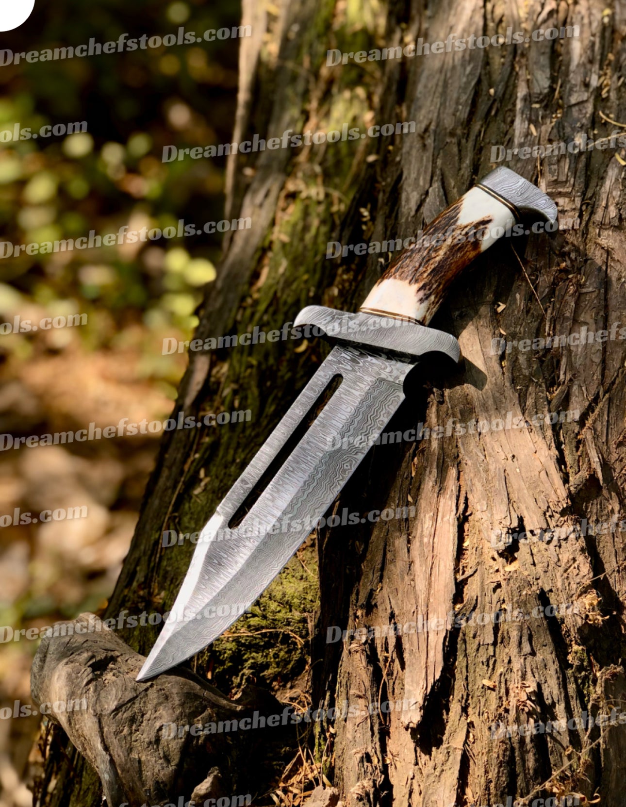 Stag Antler Handle Bowie Knife - 15" Damascus steel blade with Damascus steel guard and high-quality leather sheath