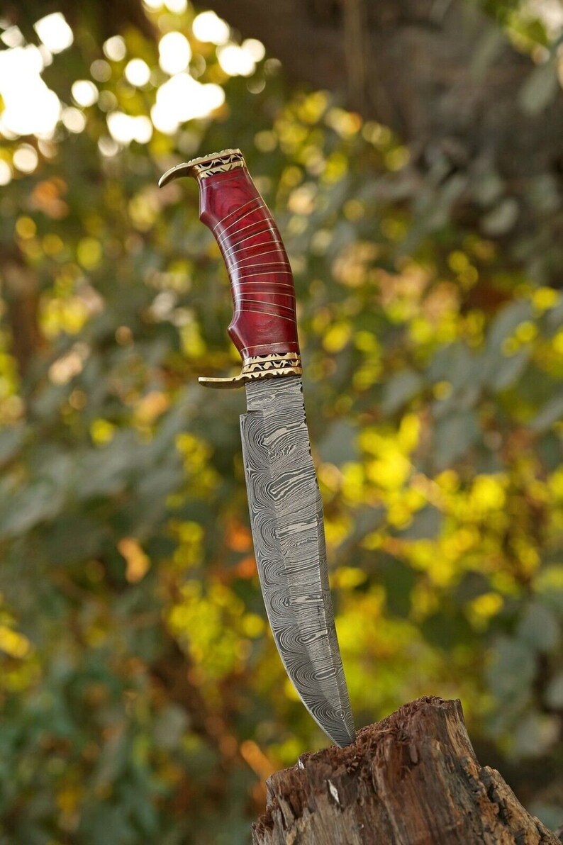 Damascus Steel Hunting Bowie Knife with Brass Guard and Pakkawood Handle in Leather Sheath