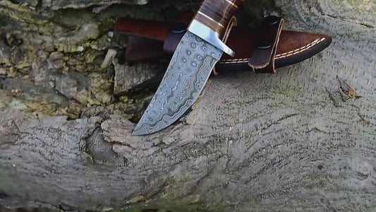 Custom Handmade Fixed Blade Damascus Steel Hunting Knife With Leather Sheath (Deer Stag Antler Handle) Amazing Gift