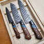 Custom Handmade Forged Damascus Steel Chef Knife Set with Rosewood, Buffalo Horn, and Resin Handles & Leather Roll Kit